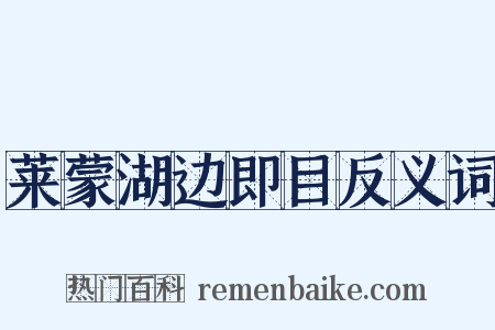 莱蒙湖边即目反义词是什么意思的图片